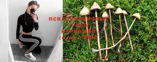 трава Богородицк
